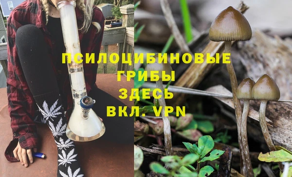 крисы Абинск