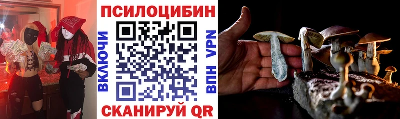 сколько стоит  Калининград  нарко площадка какой сайт  Галлюциногенные грибы Cubensis  OMG как зайти 